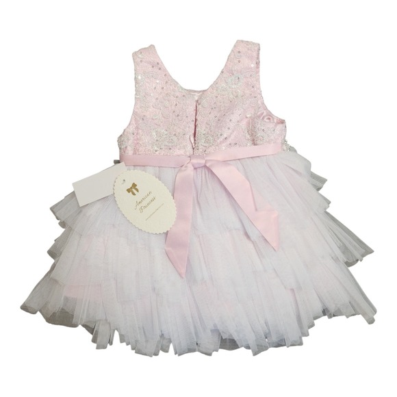 NWT American Princess Girls' Pink Embroidered Tiered Tulle Dress Easter 18M - Picture 2 of 9